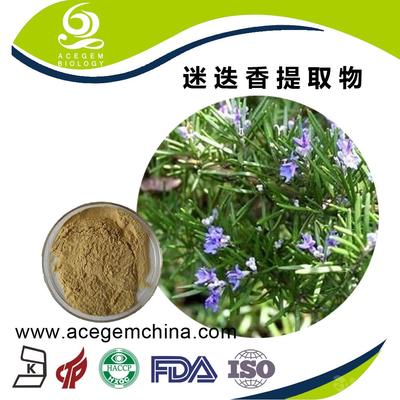 專業(yè)迷迭香提取物 中國(guó)蕪湖艾森格，天然香料的卓越之選