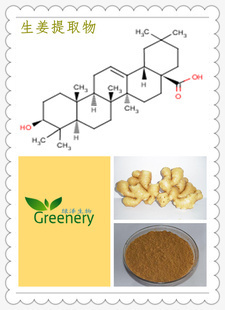 植物提取物行業(yè)推薦 西安綠澤在線供應(yīng)的生姜提取物