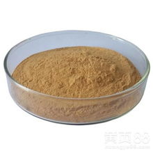 天然香料新寵 蒼耳子提取物的市場魅力與熱銷解析