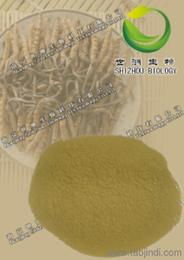 掌握市場(chǎng)動(dòng)向 植物提取物植物的價(jià)格走勢(shì)、優(yōu)質(zhì)廠家選擇與批發(fā)攻略及天然香料應(yīng)用展望