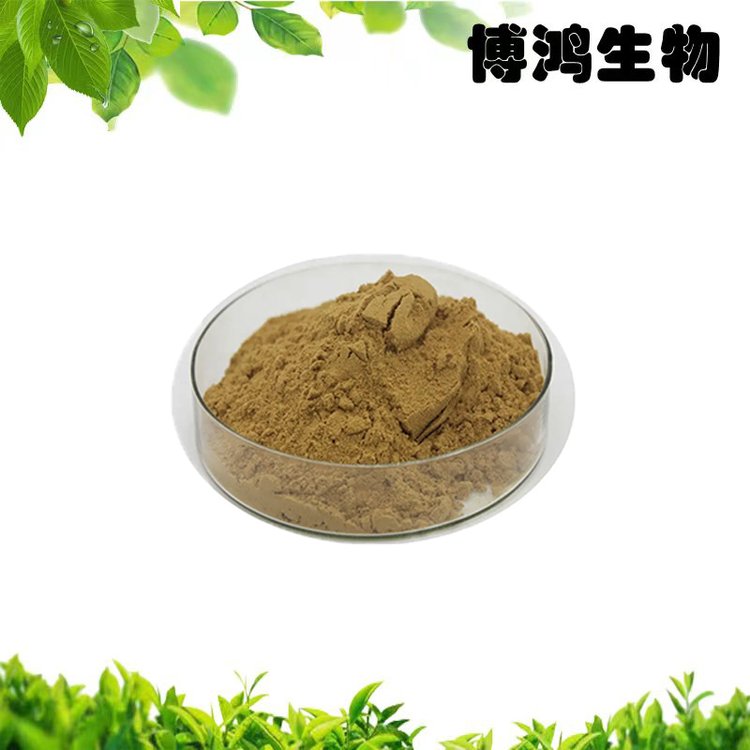云芝提取物10:1 博鴻生物打造的高品質(zhì)植物提取物標(biāo)桿